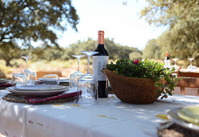 Servicios de Embajadores de Málaga